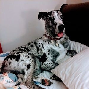 Meet your Posher, Nadine